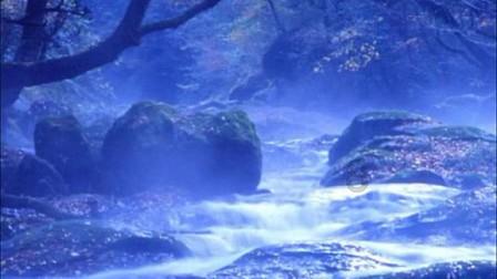 将就的婚姻会幸福吗?-探索未知,畅想交流